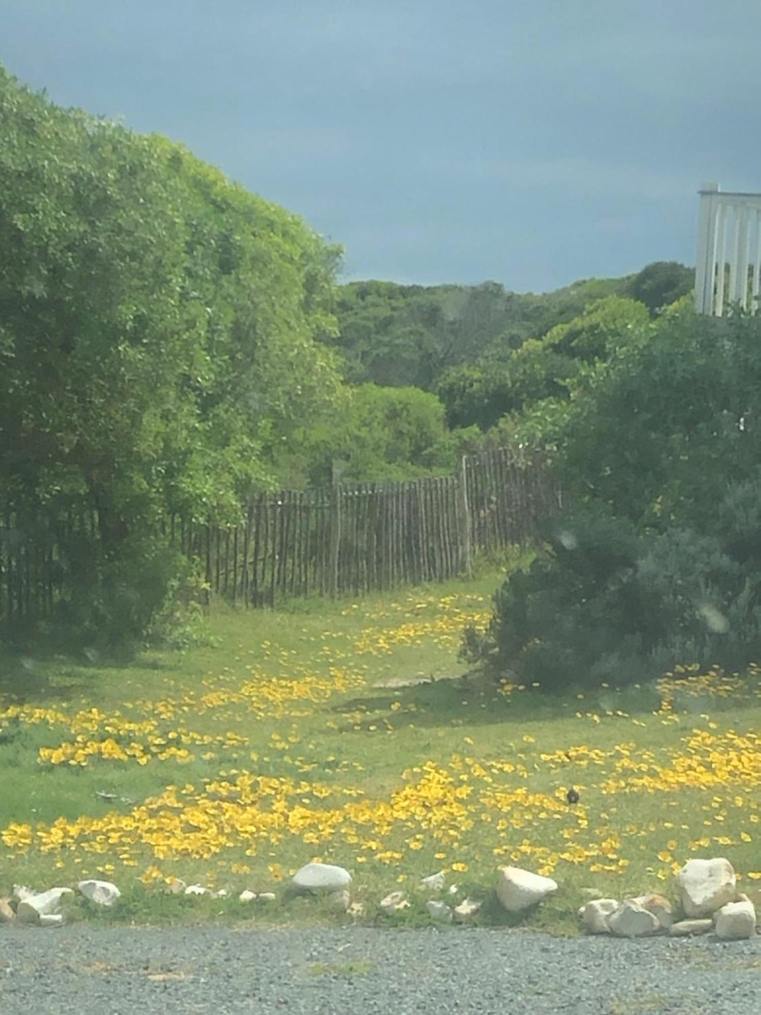 פרלי ביץ' Paradise@Pearly מראה חיצוני תמונה